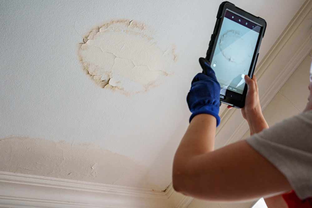 Ceiling-and-Attic-Drying