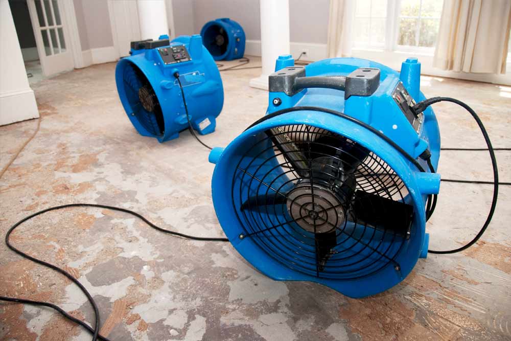 emergency-water-cleanup