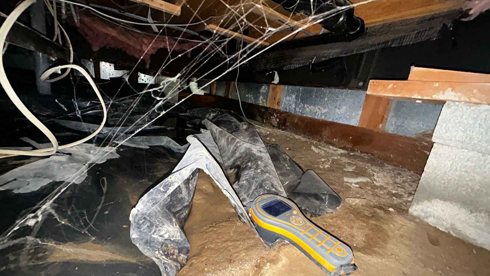 standing-water-in-crawlspace-restoration